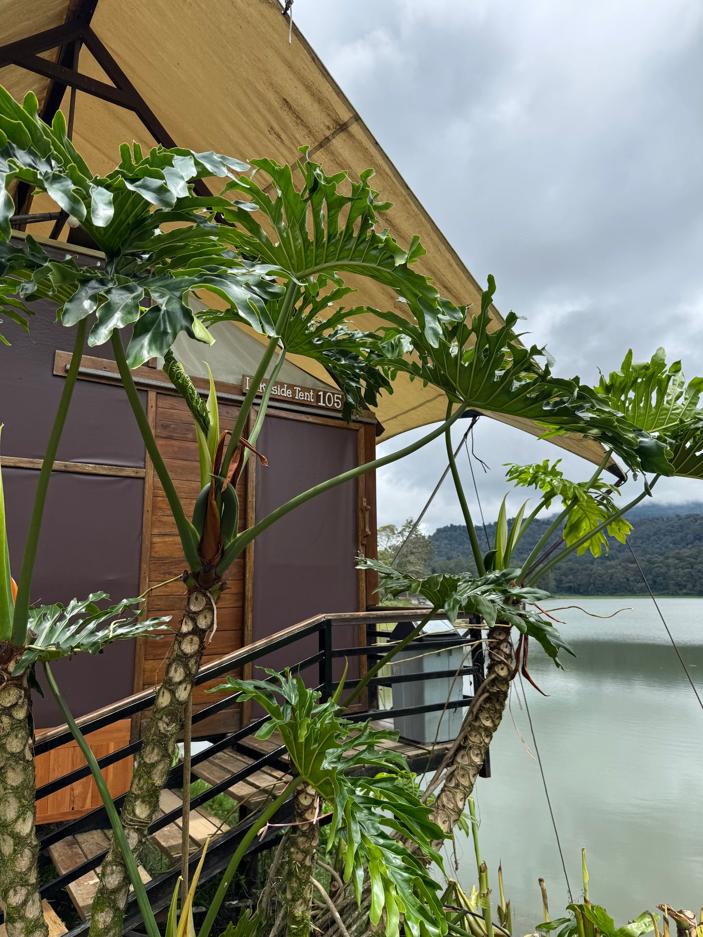 Lakeside Tent 105